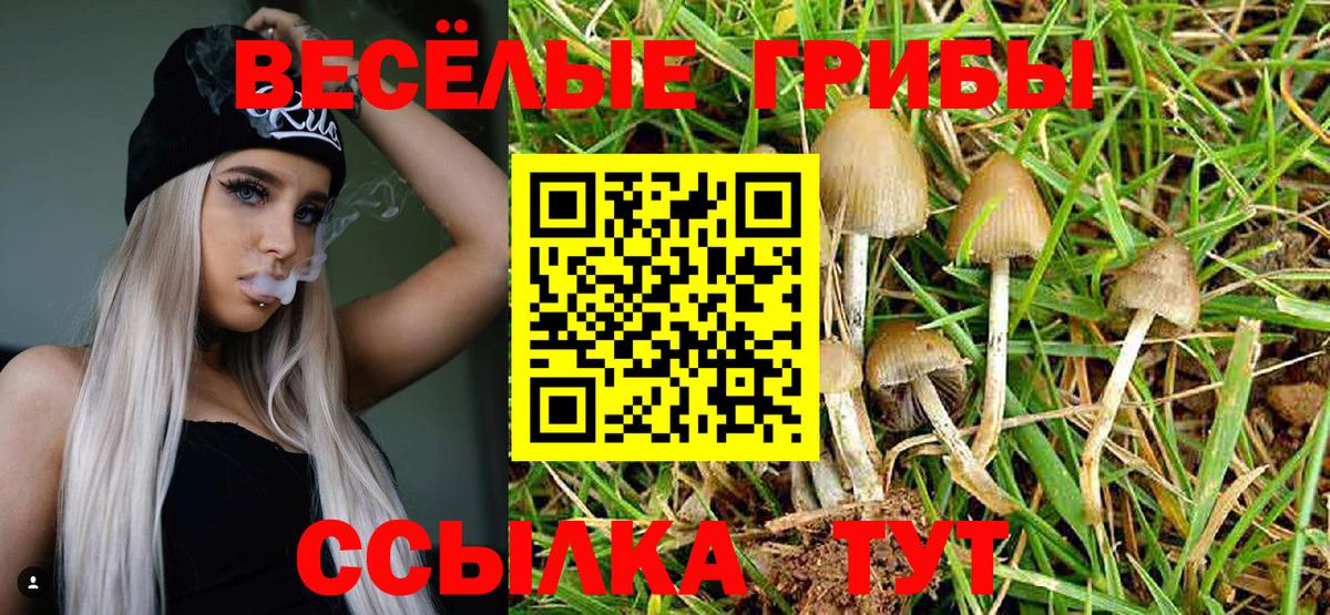 Галлюциногенные грибы Psilocybine cubensis  Псилоцибиновые грибы прущие грибы  закладка  Лангепас  Вход с VPN 