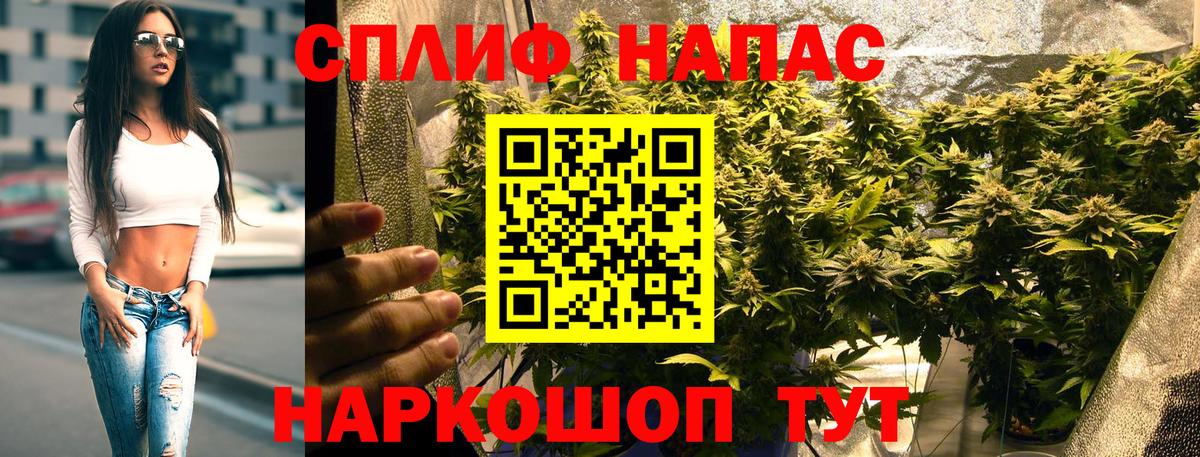 Конопля ГИДРОПОН Лангепас